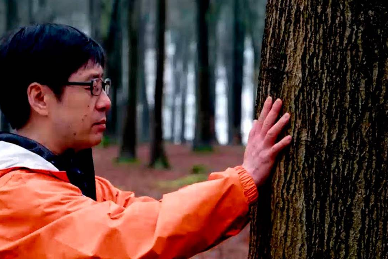 Platforma SNAGA ŠUME/ FOREST POWER