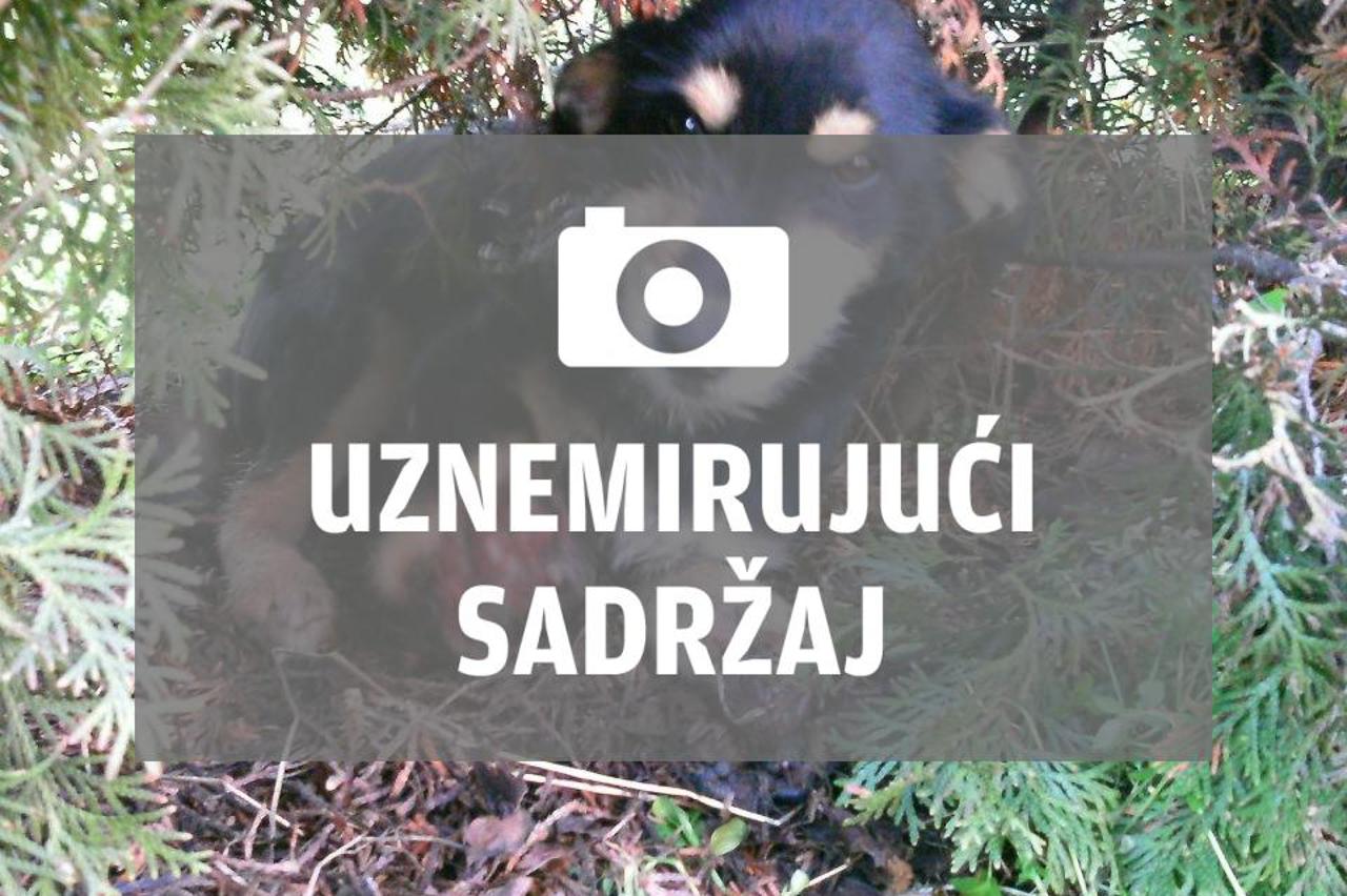 pas, victus