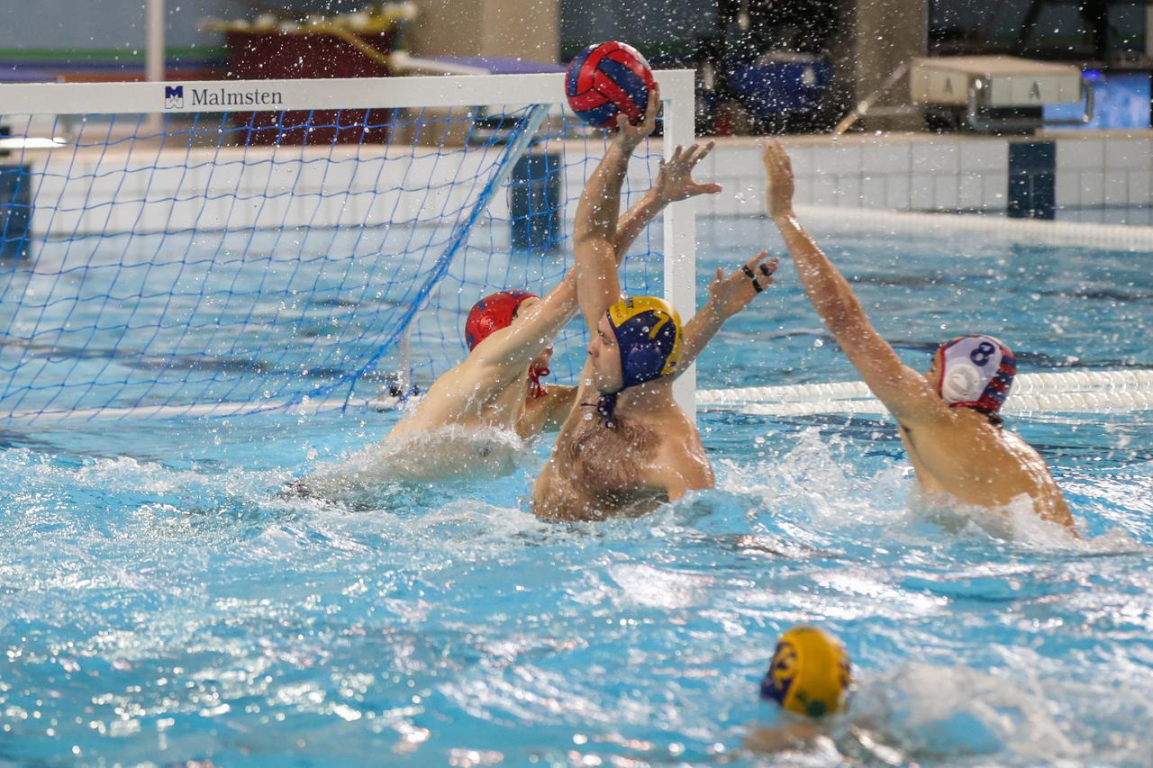 Jug Mladost vaterpolo