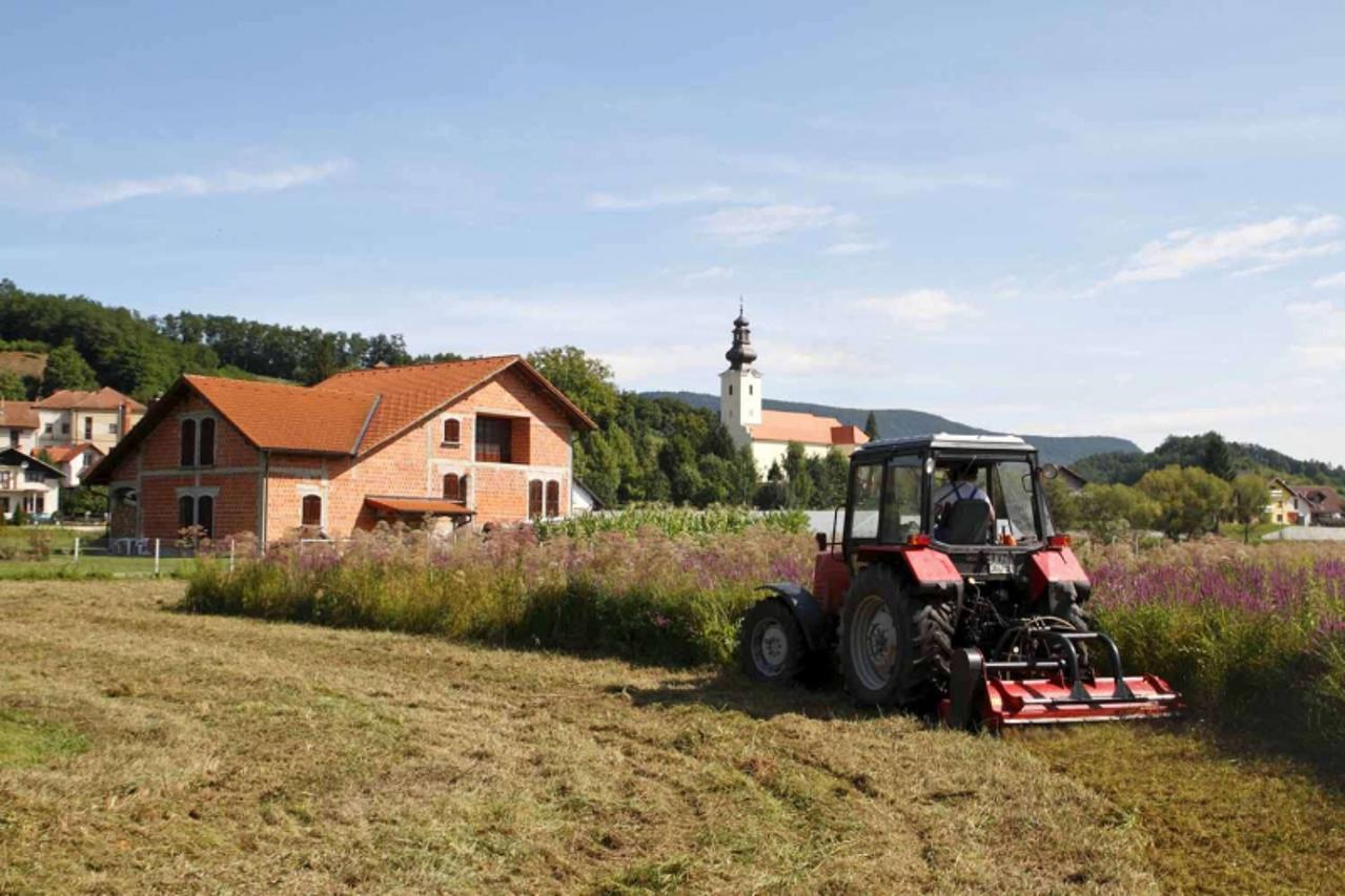'01.08.2010., Bednja - Svasta se skriva u raslinju, koje nikad dosad nije pokoseno. Photo: Ljiljana Risek/VLM'
