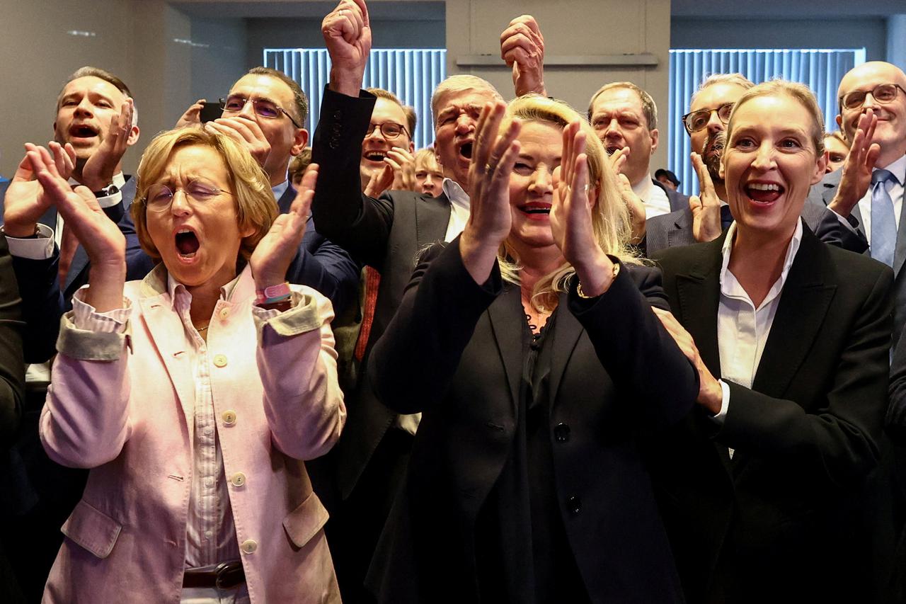 AfD u Njemačkoj