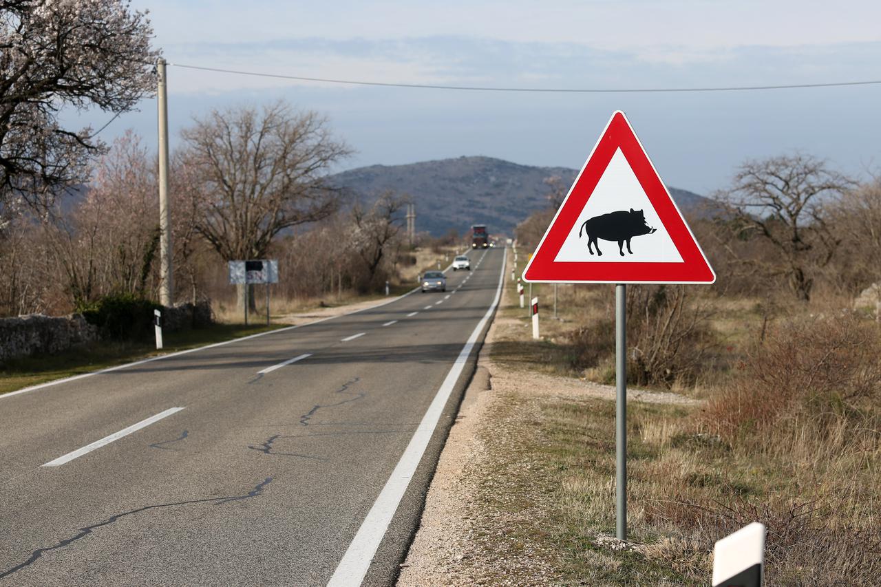 Prometni znakovi za divlja? i doma?e životinje na cesti