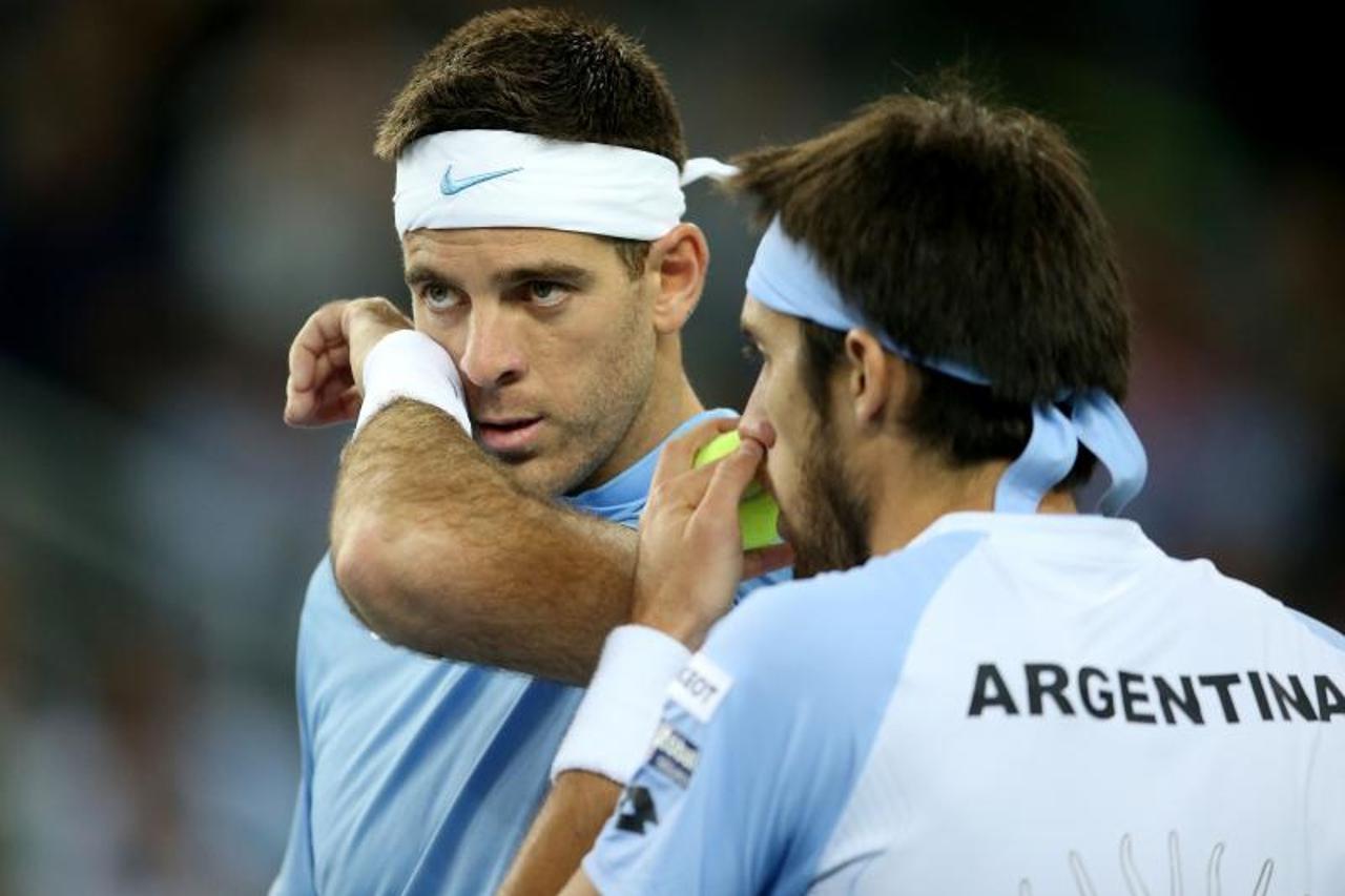 Del Potro Mayer