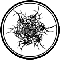 Avatar Pattern