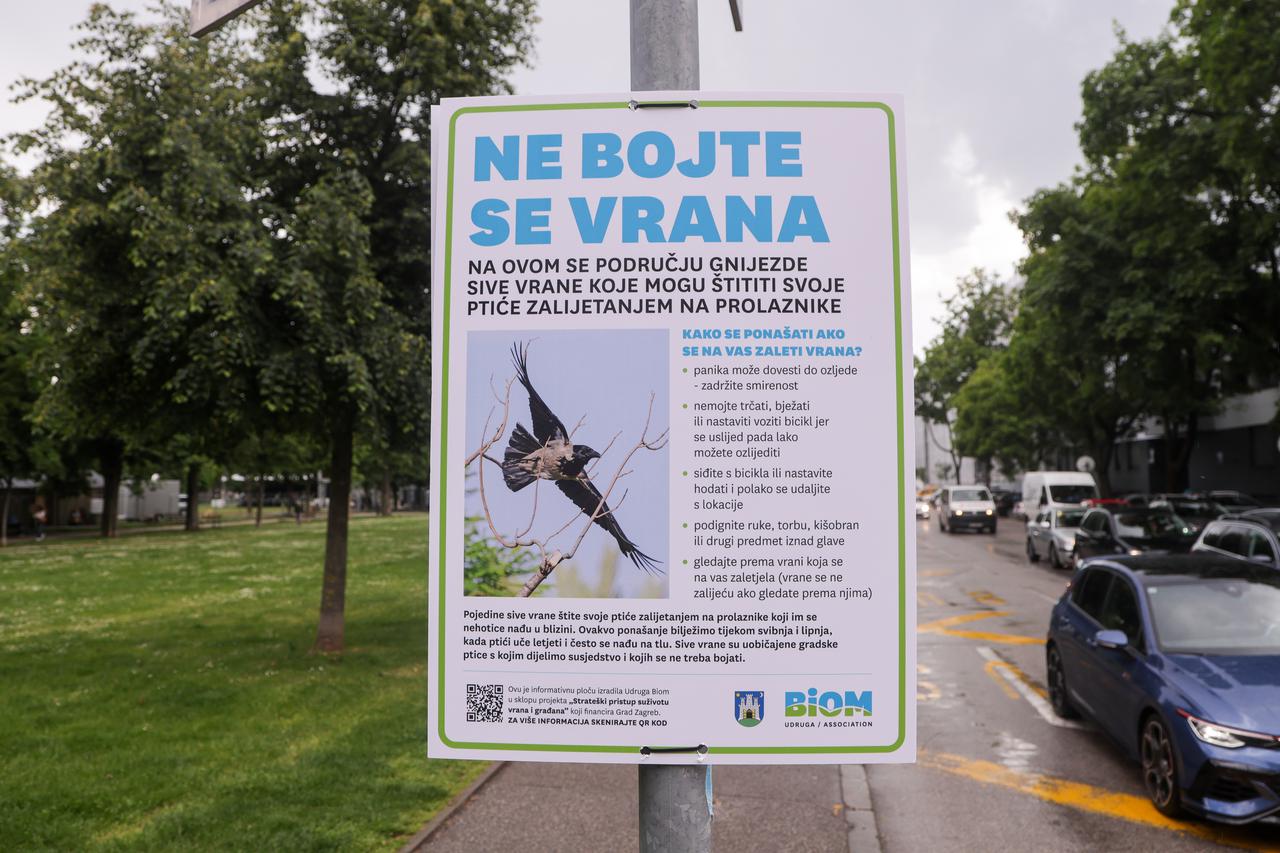 Zagreb: U parkovima postavljeni znakovi "Ne bojte se vrana"