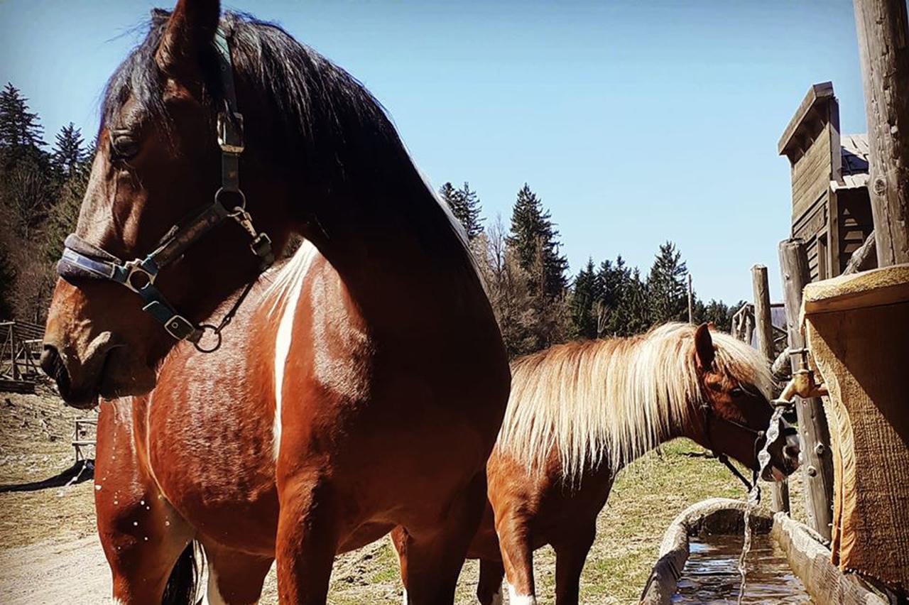 Kaubojsko selo Roswell u Općini Fužine