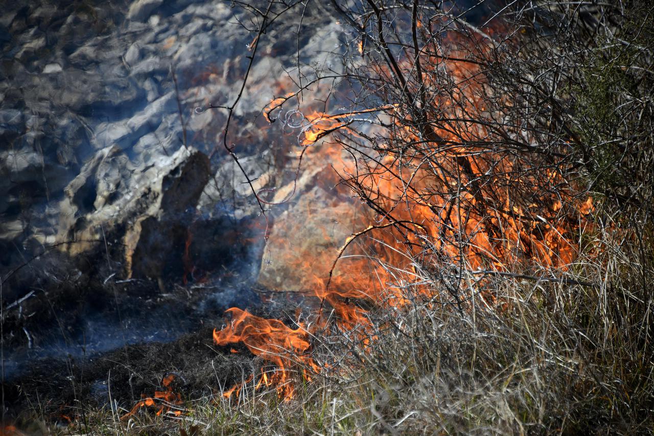 Galižana: Vatrogasci gase požar nedaleko od plinske stanice