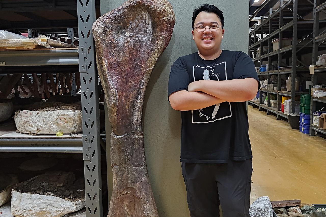storyeditor/2026-05-16/2026-05-14T112623Z_329132301_RC2XY5A1U9GV_RTRMADP_3_SCIENCE-DINOSAUR.JPG