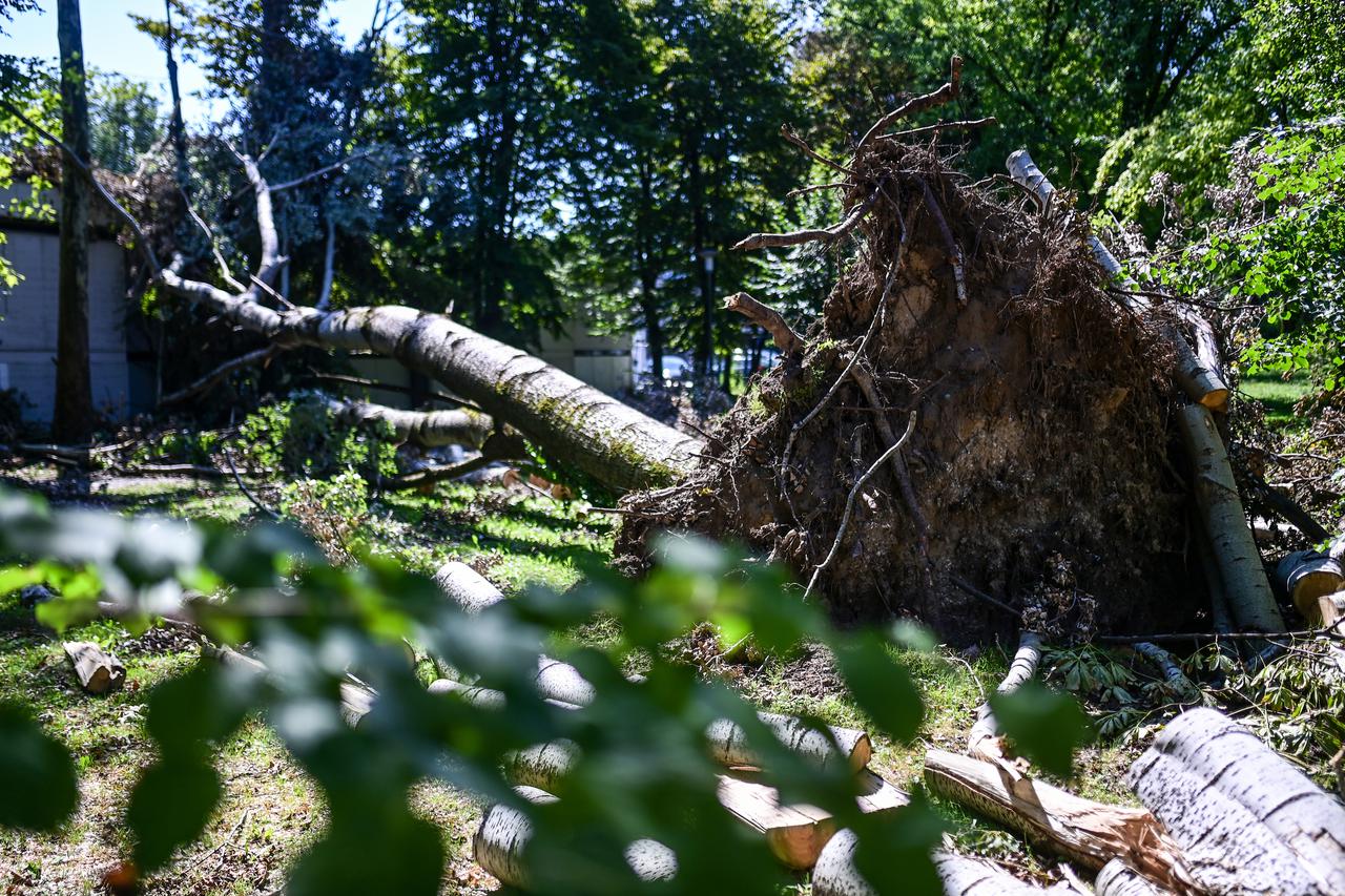 Olujno nevrijeme uništilo Park mladenaca u Zagrebu, srušena stabla još nisu uklonjena
