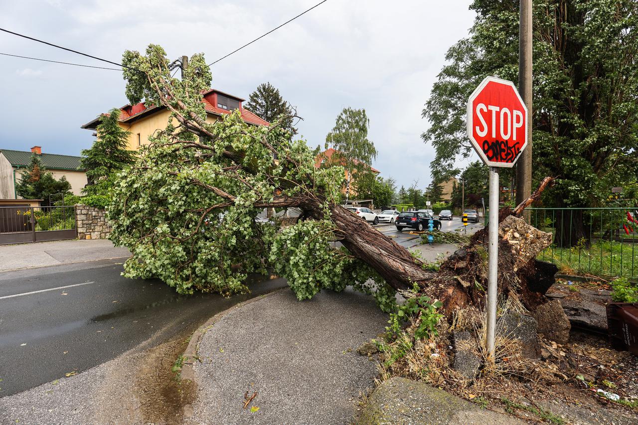 Zagreb: Novo nevrijeme napravilo novu štetu, u Voćarskoj ulici palo stablo