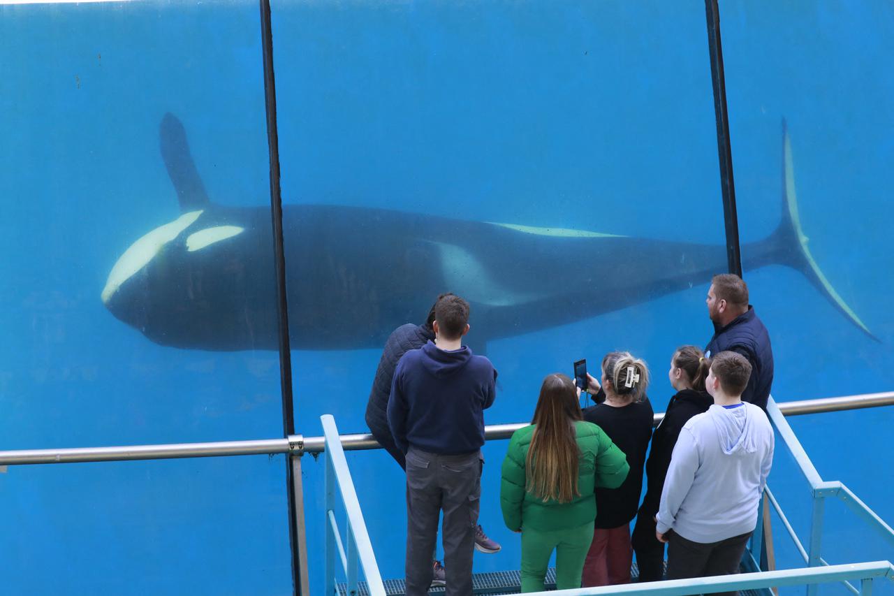 Nakon nekoliko desetljeća rada, vodeni park Marineland u Antibesu 5. siječnja trajno zatvara svoja vrata