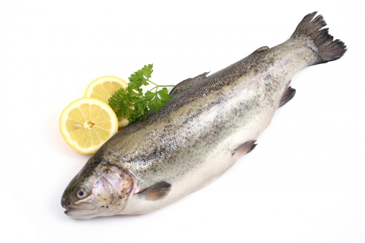 pastrva
