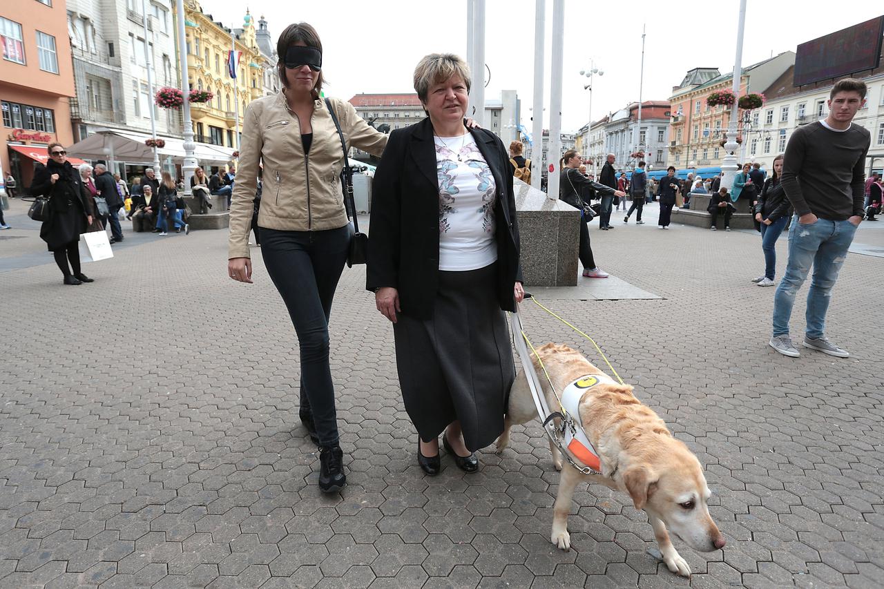 28.09.2015., Zagreb - Mira Katalenic, predsjednica Hrvatske udruge za skolovanje pasa vodica i mobilitet demonstrirala je na Jelacicevom trgu sutrasnju akciju kojoj je cilj senzibilizirati javnost na probleme slijepih.  Photo: Patrik Macek/PIXSELL