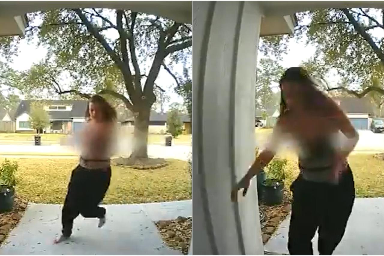 Kradljivica iz Houstona