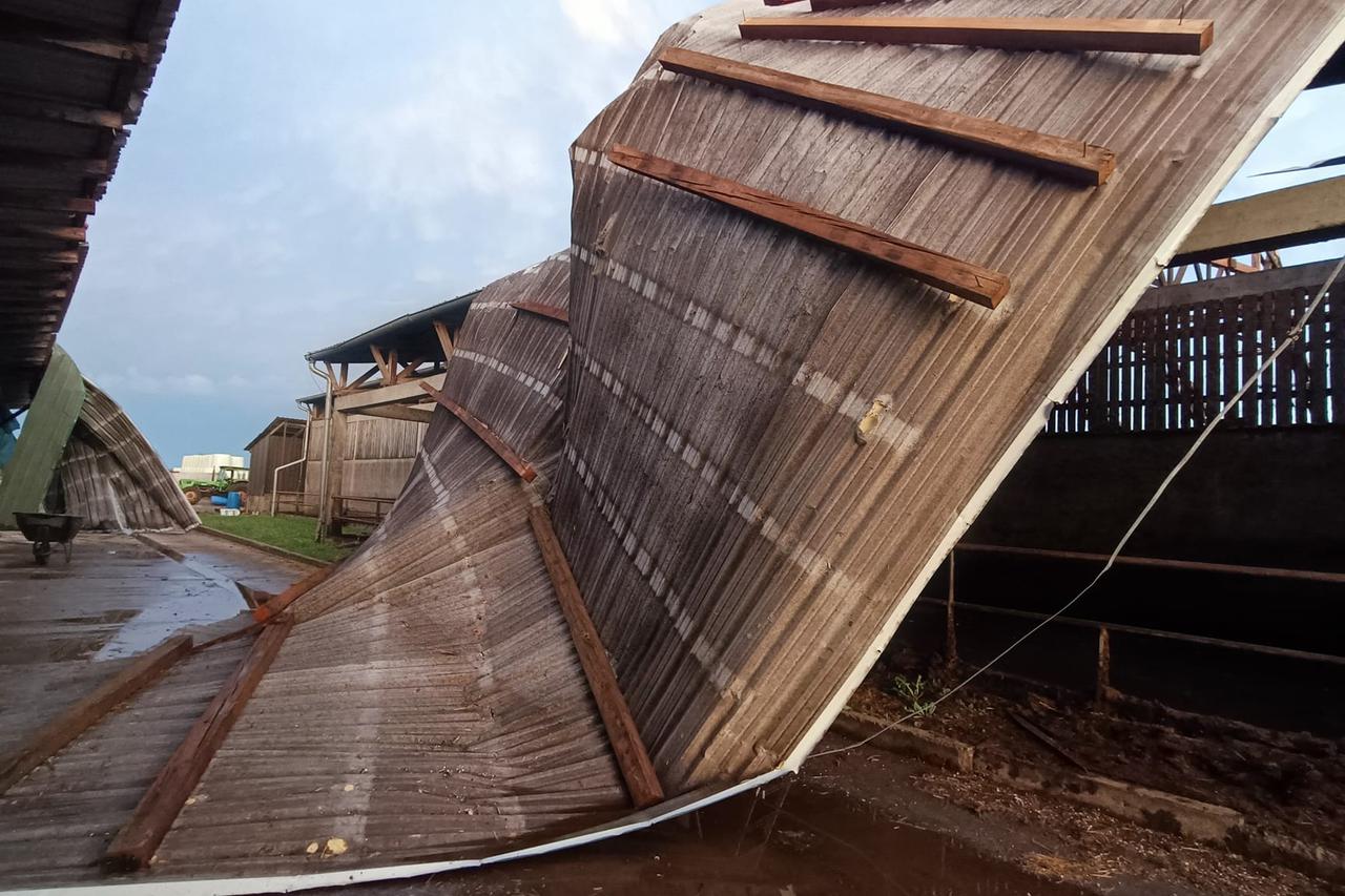 Farma muznih krava Dišinac u Starim Mikanovcima
