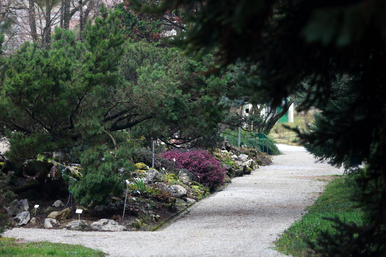 Zagreb: Šetnja Alpinumom u Botaničkom vrtu