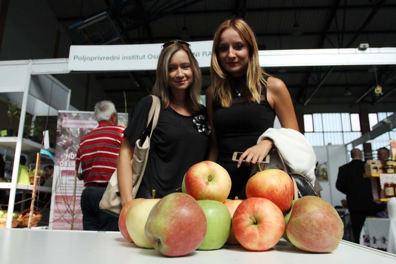 04.09.2015., Donji Kraljevec- Otvoren medjunarodni Vocarski sajam 2015. 