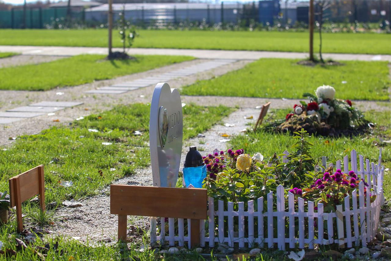 Groblje za kućne ljubimce