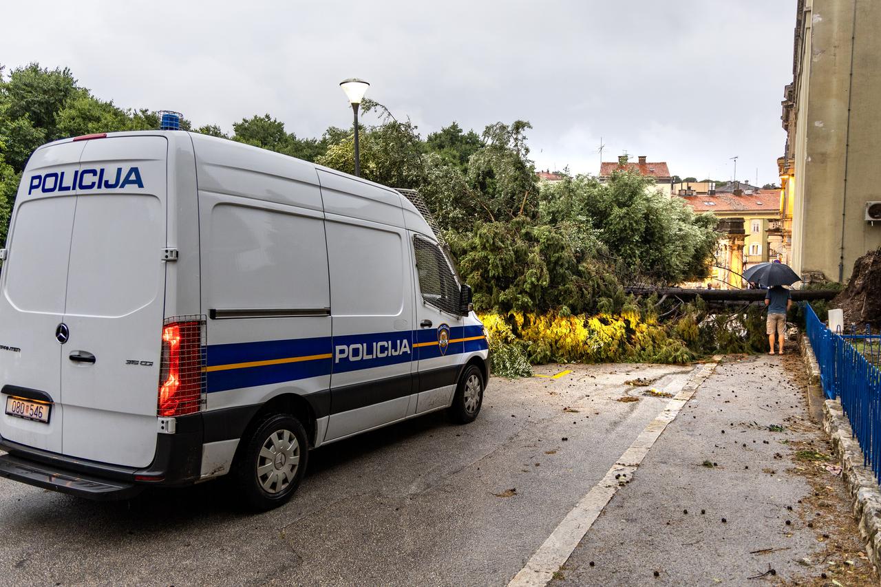 Olujno nevrijeme rušilo stabla u Puli