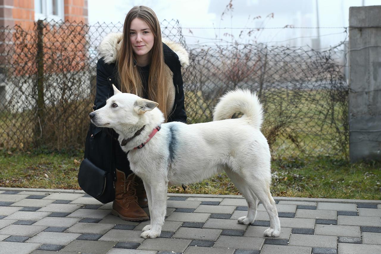 20.02.2017., Dugo Selo - Nepoznati pocinitelj u mirnoj obiteljskoj ulici pucao je iz lovacke puske u psa. Brzom intervencijom vetrinara pas Cezar je spasen. Slucaj je prijavljen policiji koja traga za pociniteljem. DKS_56151374 Photo: Zeljko Lukunic/PIXSE
