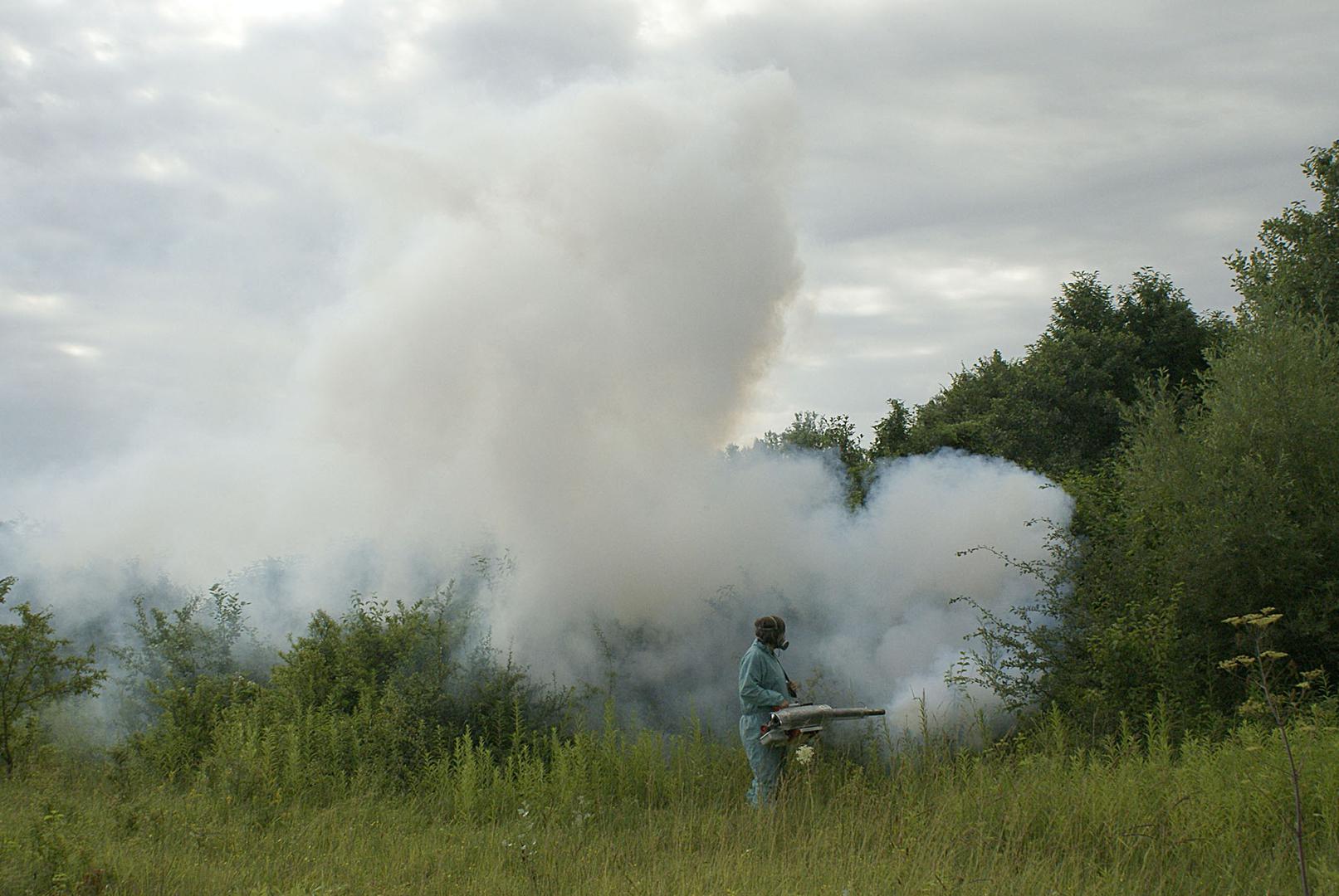 Bolest se može spriječiti jedino uništenjem komaraca u okolišu, a kao zaštita služe i repelenti