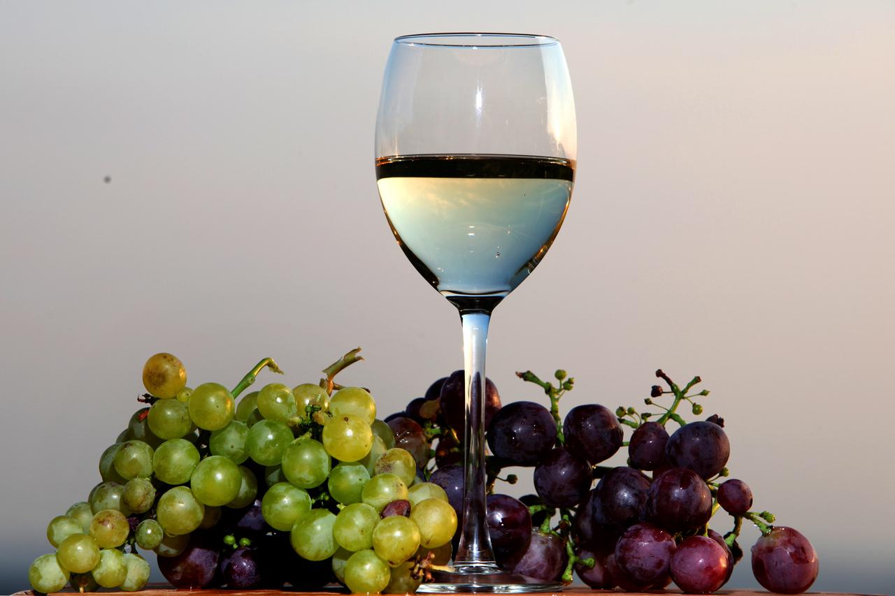 grožđe i vino