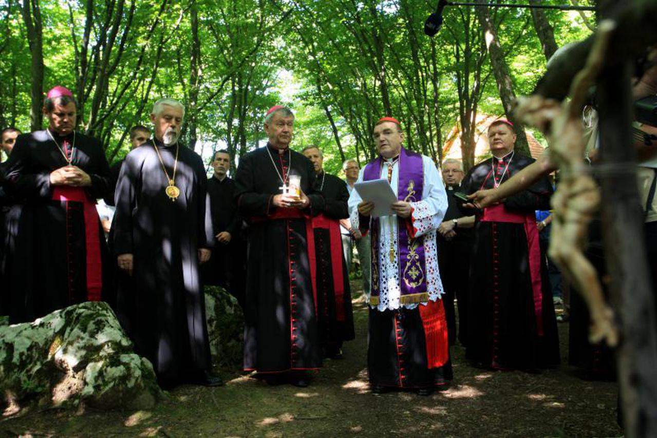 Bozanić nad jamom
