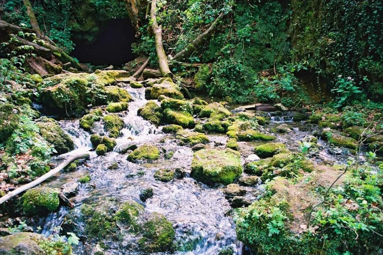 Jankovac