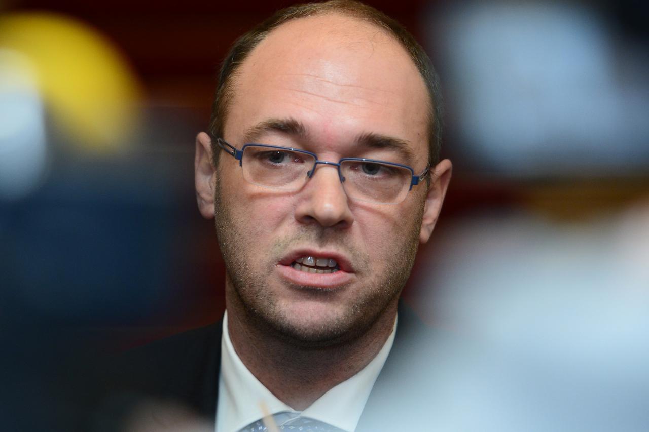 davor ivo stier