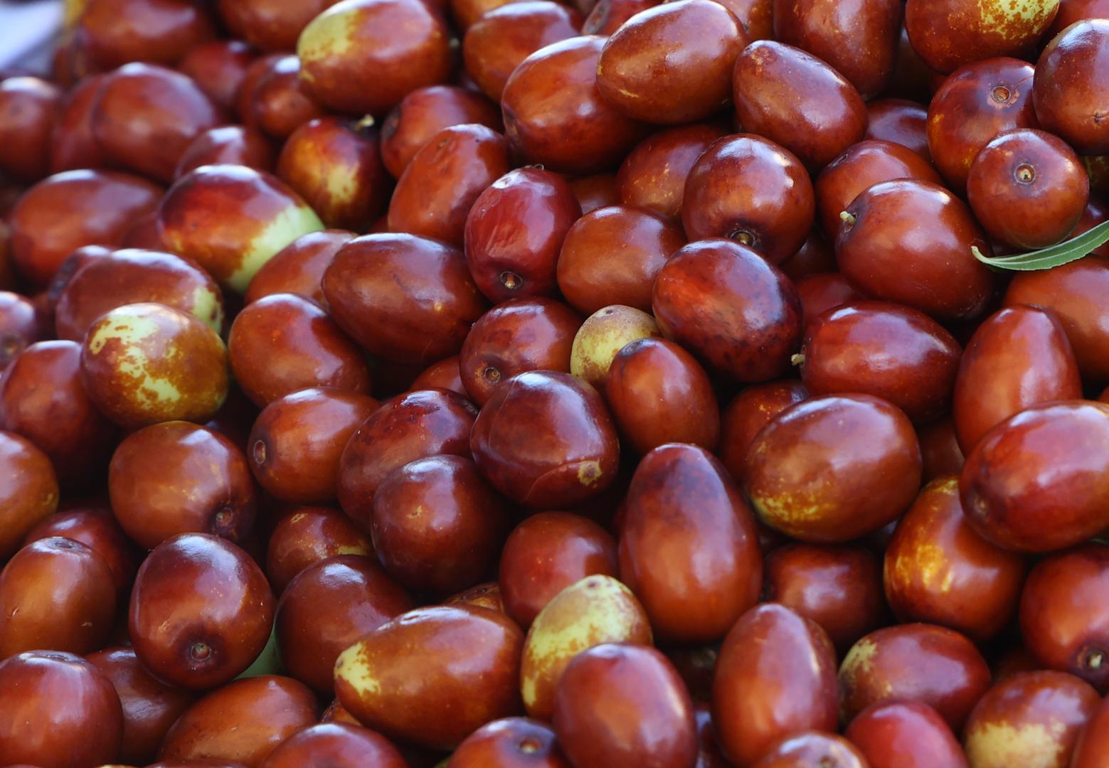 Žižule, poznate i kao kineske datulje, su mali, okrugli plodovi biljke Ziziphus jujuba koji rastu na stablima u toplijim krajevima, uključujući Dalmaciju. 