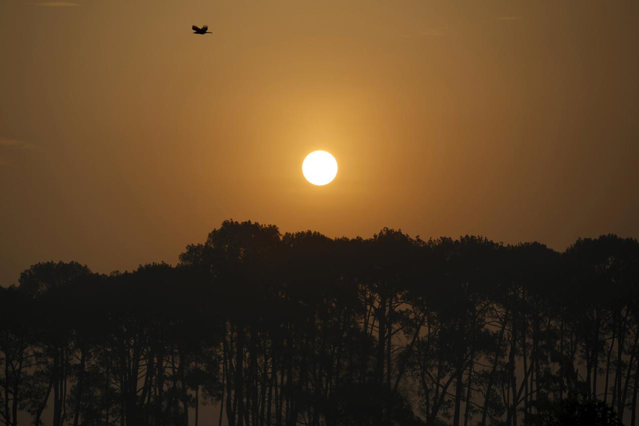 sunce
