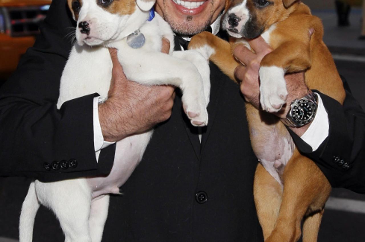 cesar millan