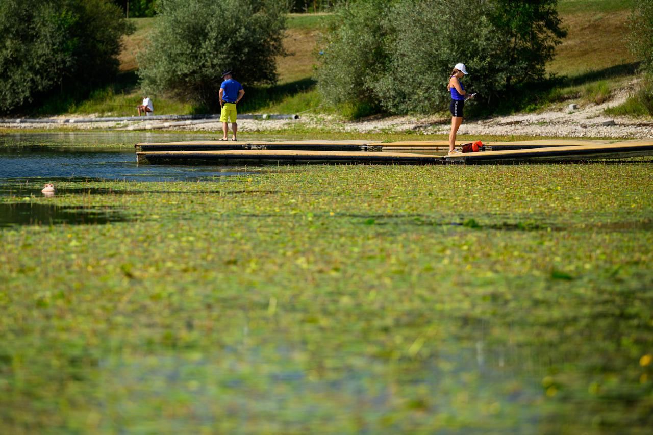 Zagreb: Jezero Jarun prekriveno je lopočima