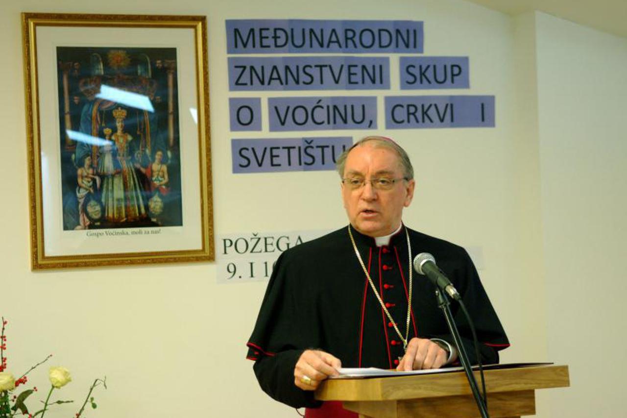 međunarodni skup o voćinu (1)