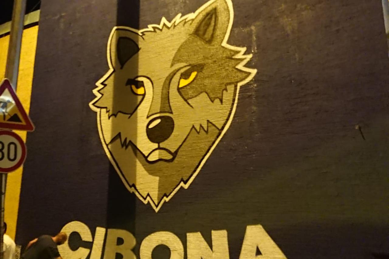 Akcija za spas Cibone