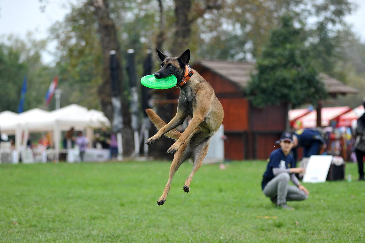 Međunarodni dan zaštite životinja na Bundeku