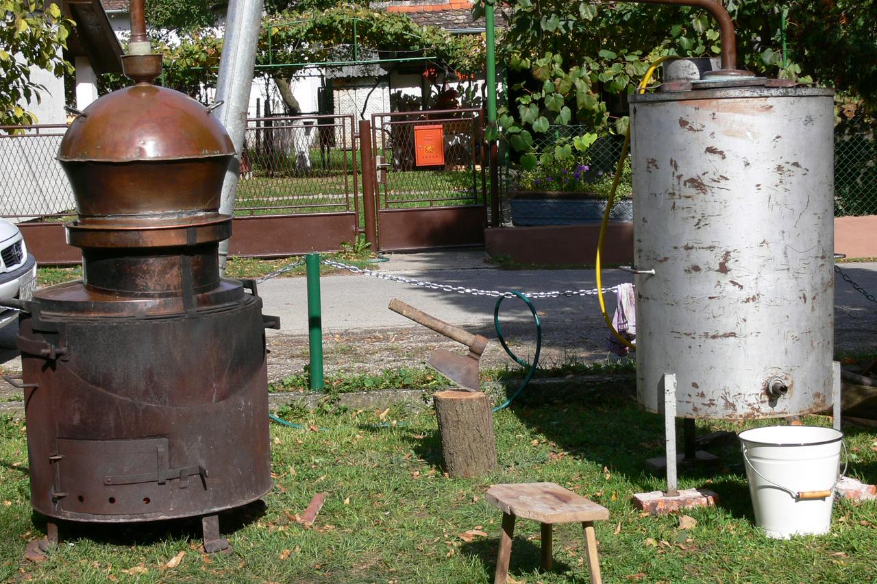 Dučecove spelancije - Paljenje rakije