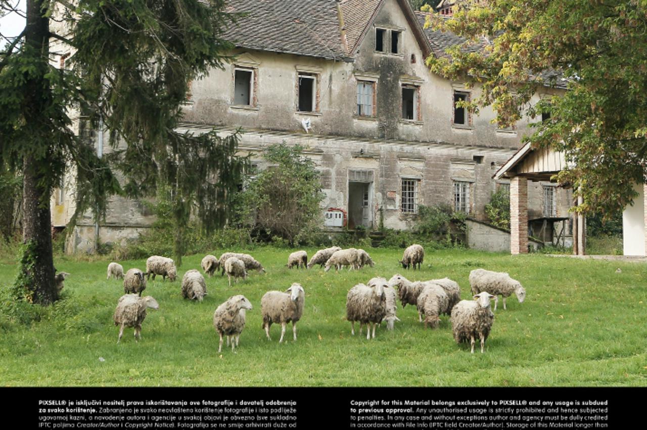 '01.10.2013., Koprivnica - Na ulazu u naselje Rasinja nedaleko Koprivnice vec desetljecima propadaju dvije zgrade dvorca koji je pripadao poznatoj plemickoj obitelji Inkey. Vlasnik gradjevinske tvrtke