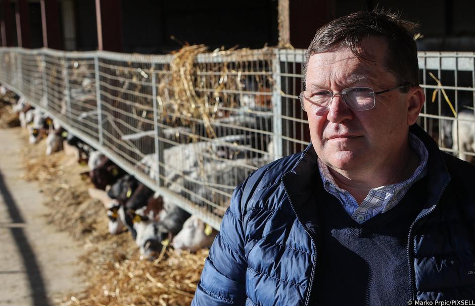 Križ: Farma goveda Zvonimir Širjan