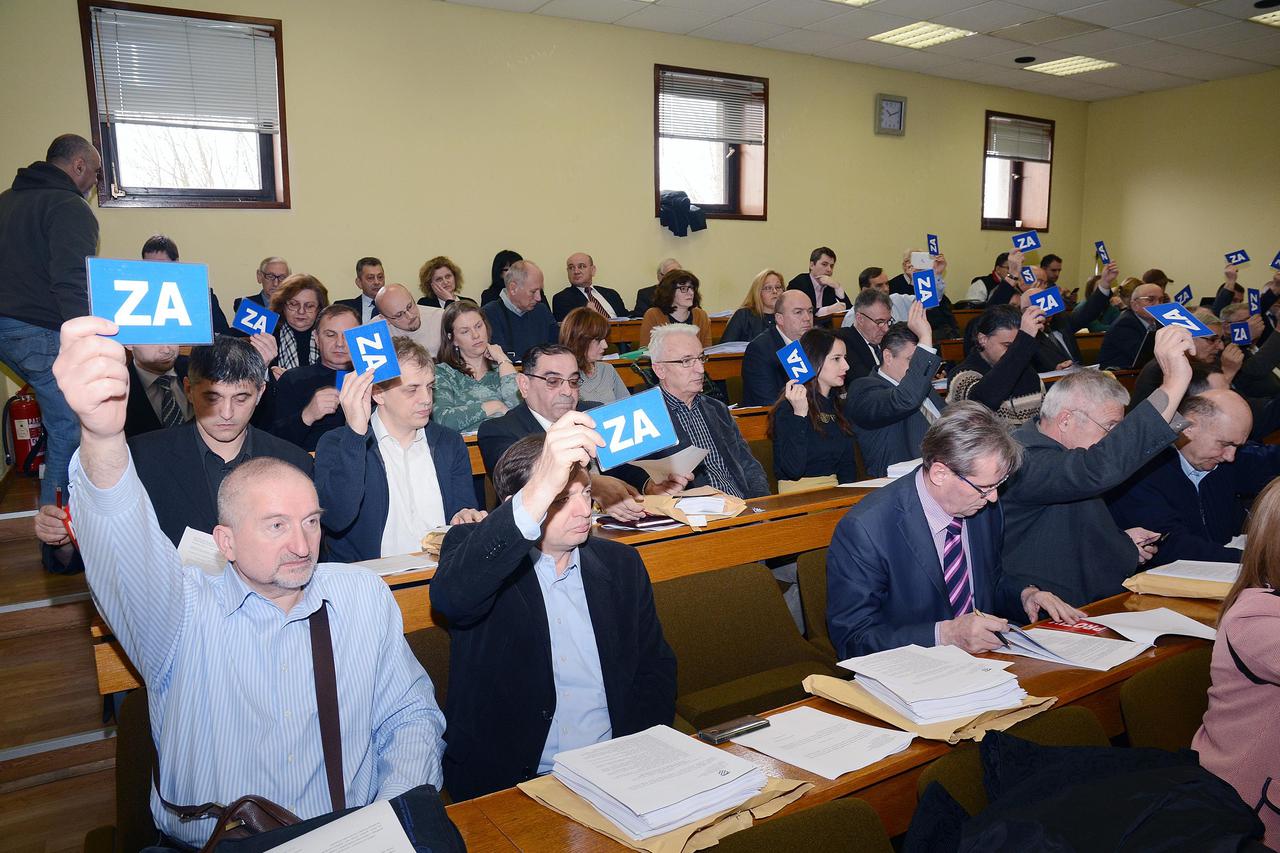 Županijska skupština