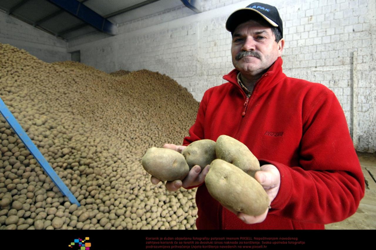 '28.02.2012., Belica - Medjimurski proizvodjaci krumpira povukli najvise novaca iz IPARD projekta. Medju njima je i Andjelko Kozar iz Belice, koji je kupio nove strojeve potrebne za rad. Photo: Vjeran