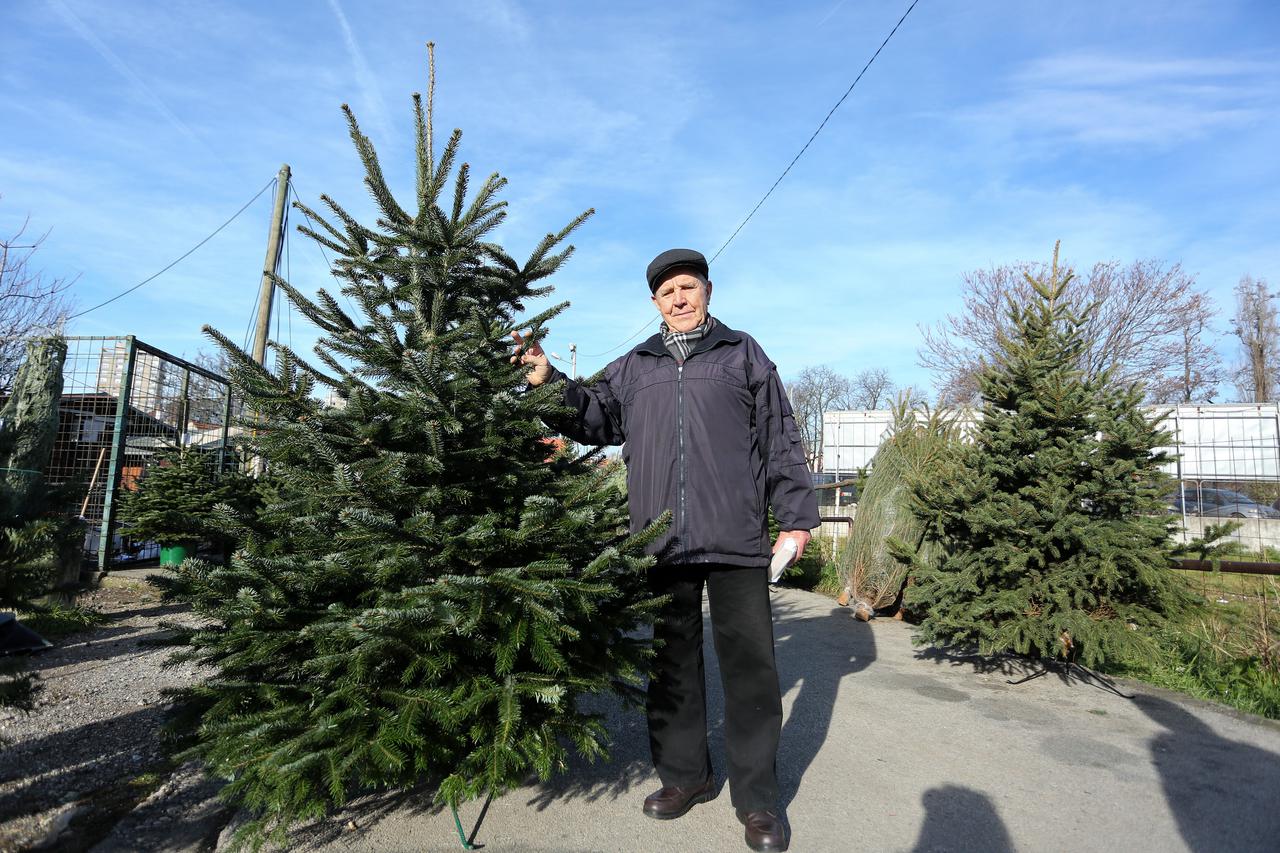 Na Trešnjevačkoj tržnici počela prodaja božićnih drvaca