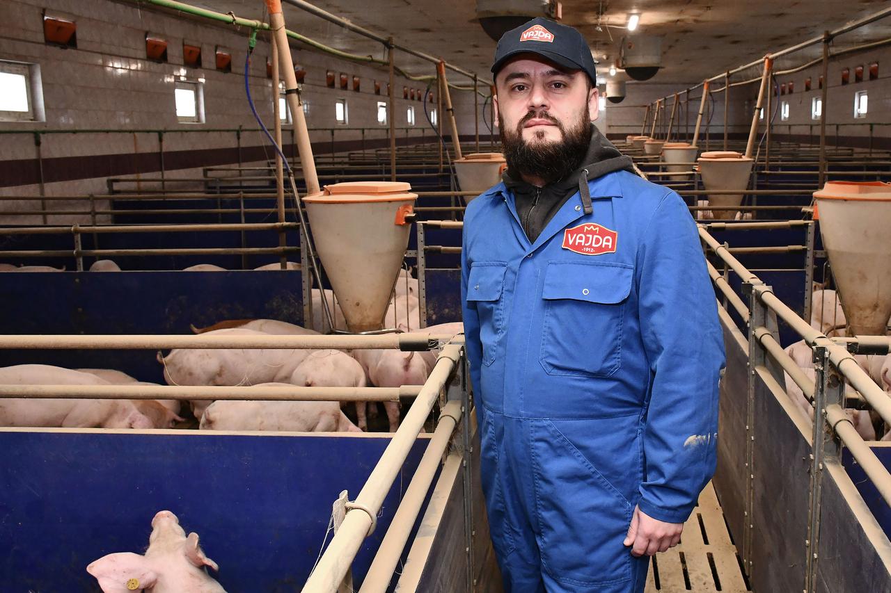 Donja Vrba: Farma svinja OPG Domagoja Becka