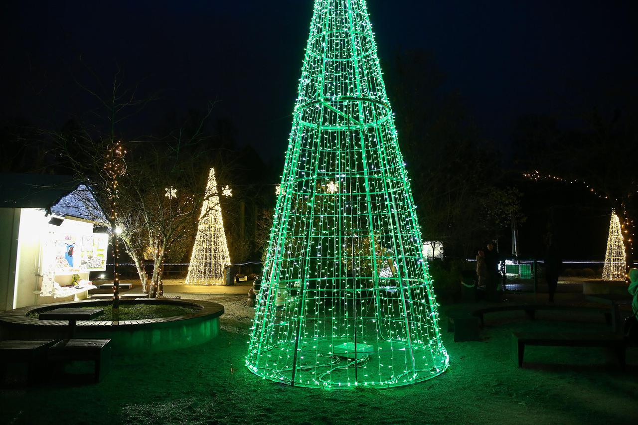 Zagreb: Bor na Trgu Svetog Marka 