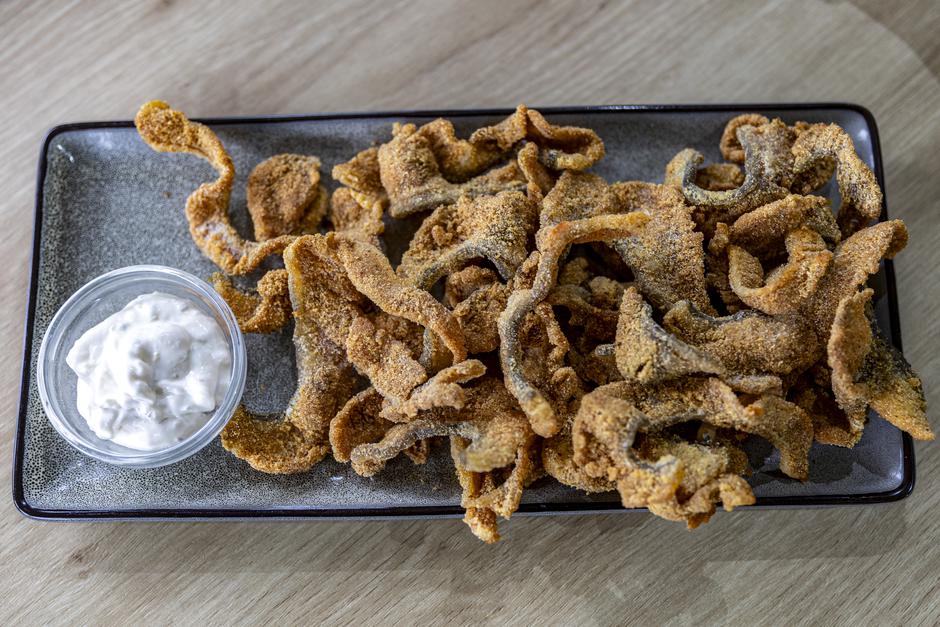 Turistička patrola u Belom Manastiru