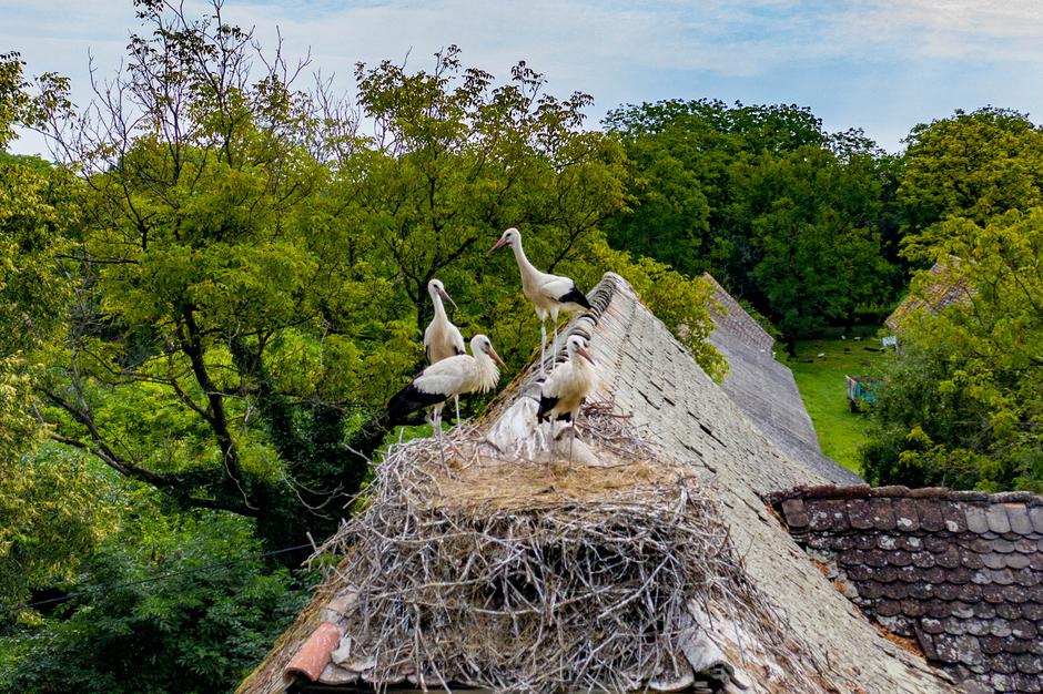 Istraži Sisačko – moslavačku županiju