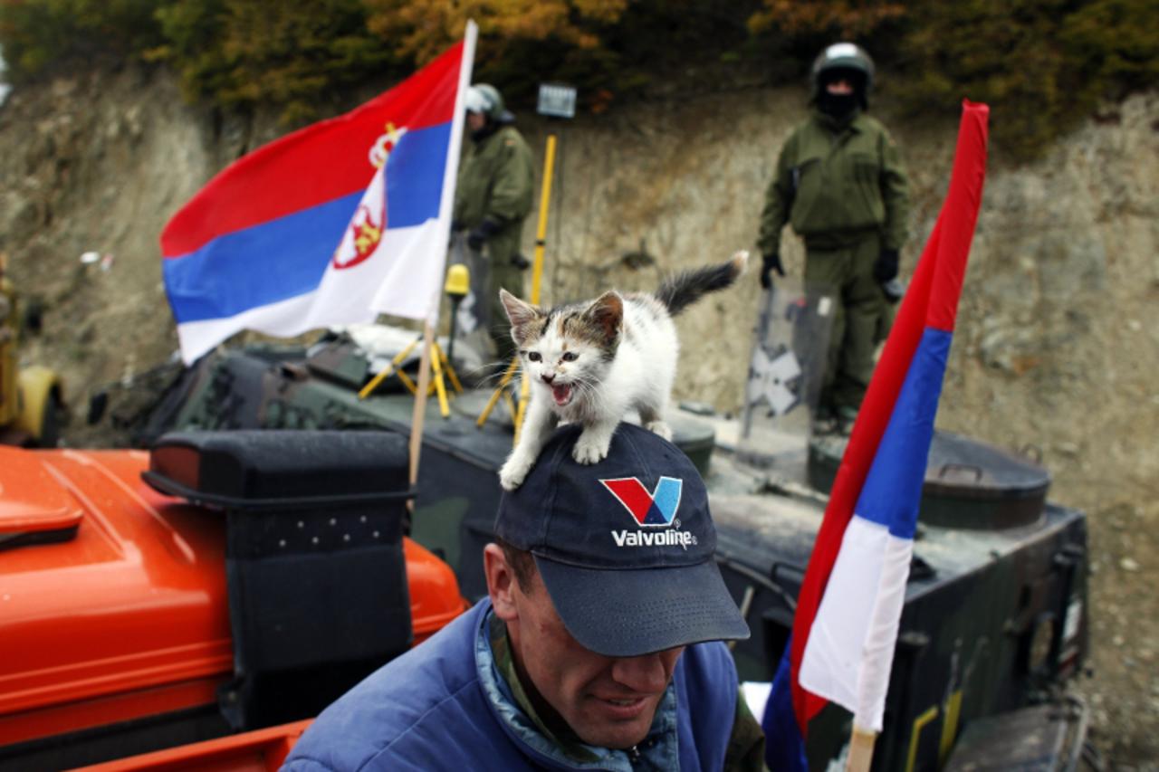 'A cat sits on top of a Kosovo Serb man's hat in front of NATO Kosovo Force (KFOR) soldiers from Germany at the barricades in the village of Jagnjenica, near the town of Zubin Potok October 25, 2011.