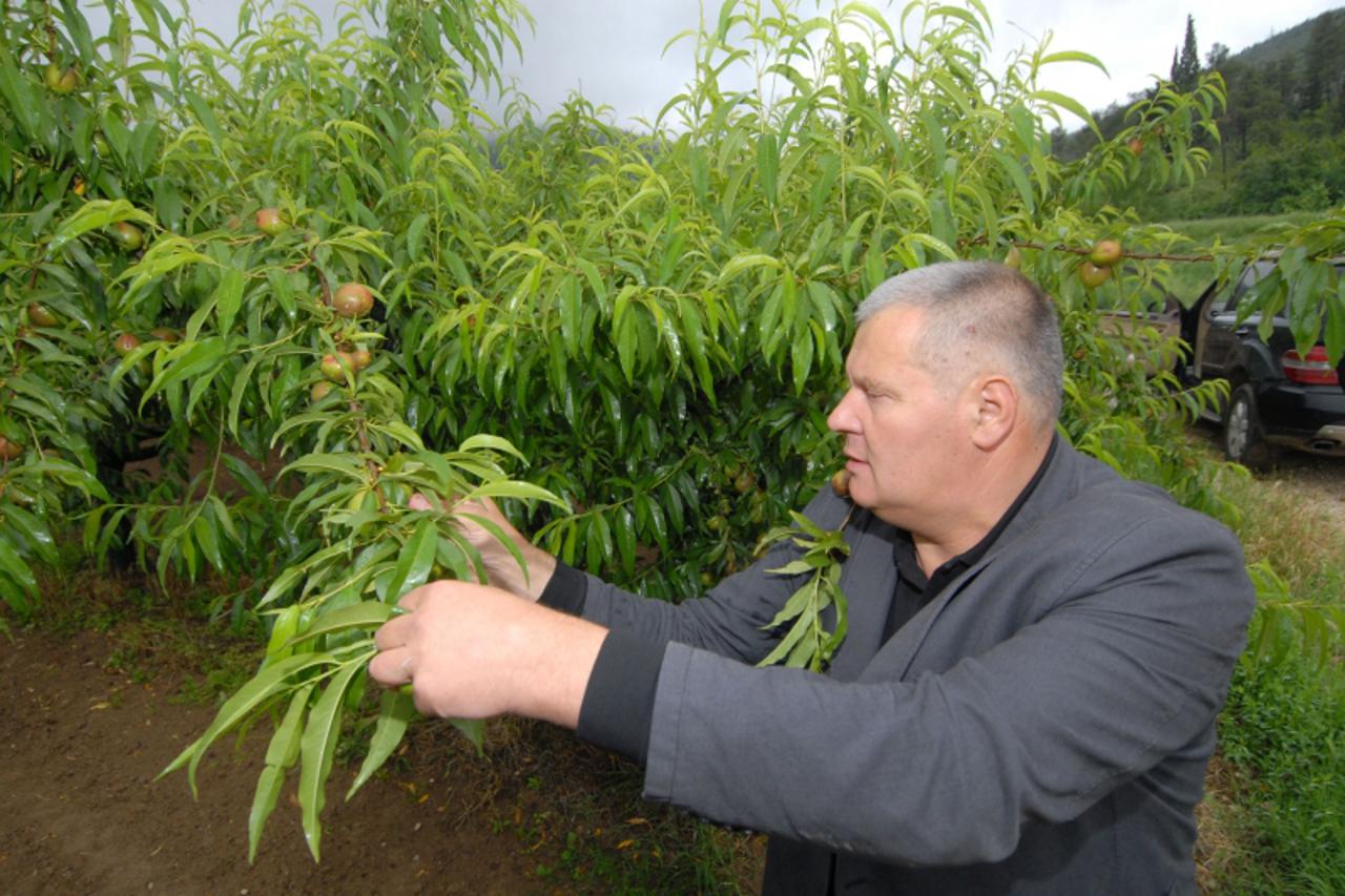 'dal-15.06.2009,dubrovnik stipe gabric jambo Photo: Zvonimir Pandza/Vecernji list'