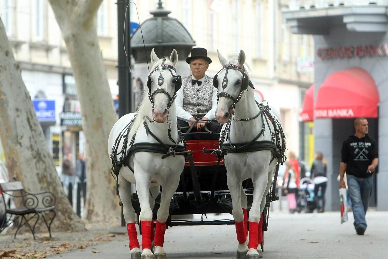 Kočija u Zagrebu
