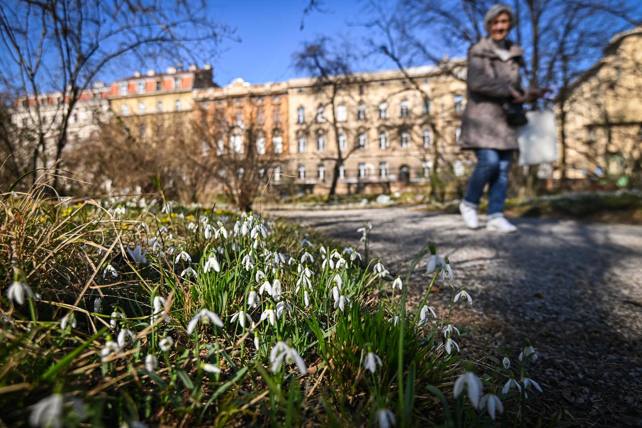 Zagreb: Botanički vrt 